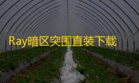 Ray暗区突围直装下载详解
：优势、风险与合法渠道全解析