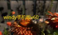 windy手机版v60.0.3 人气热度：42℃